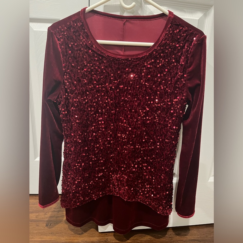 Festive winter weather dress sweater top!